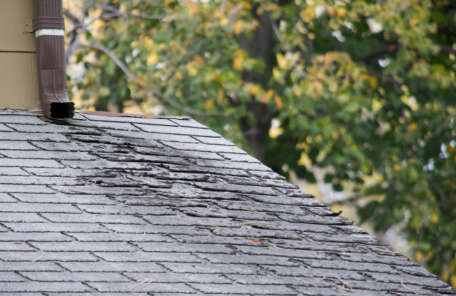 roof wind damage with curled shingles