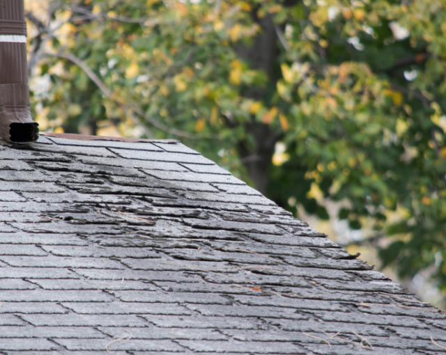 roof wind damage with curled shingles